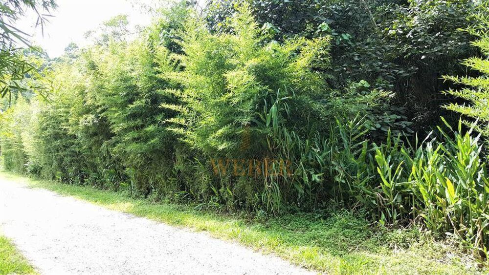 Terreno, 5 m² - Foto 3