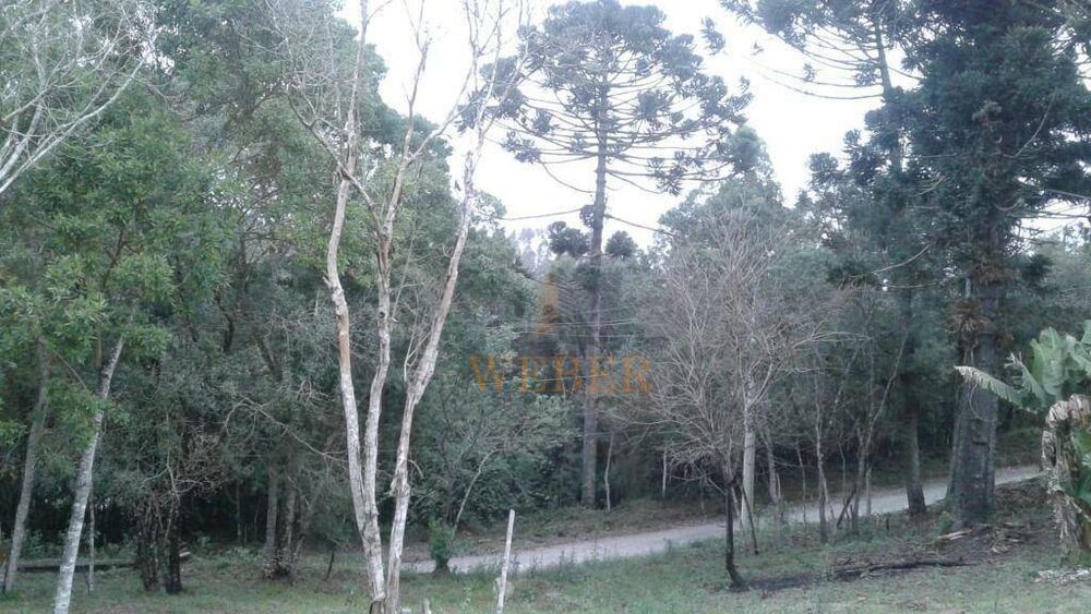 Terreno, 2350 m² - Foto 2