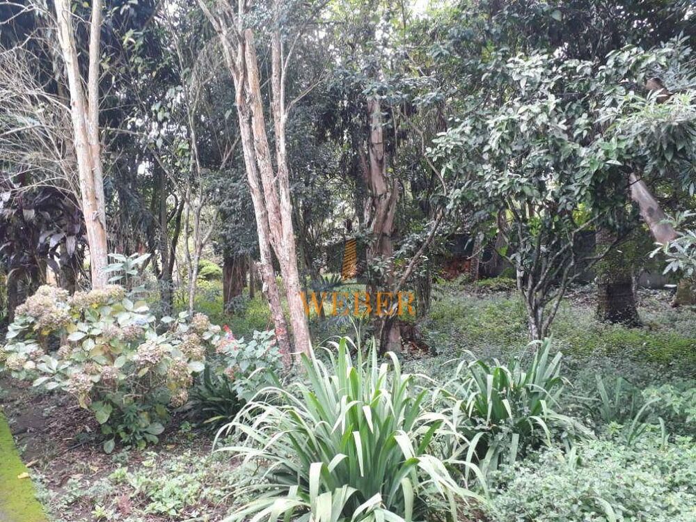 Chácara, 2 quartos, 1000 m² - Foto 6