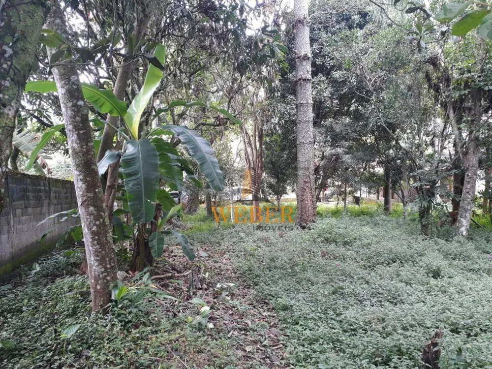 Chácara, 2 quartos, 1000 m² - Foto 8