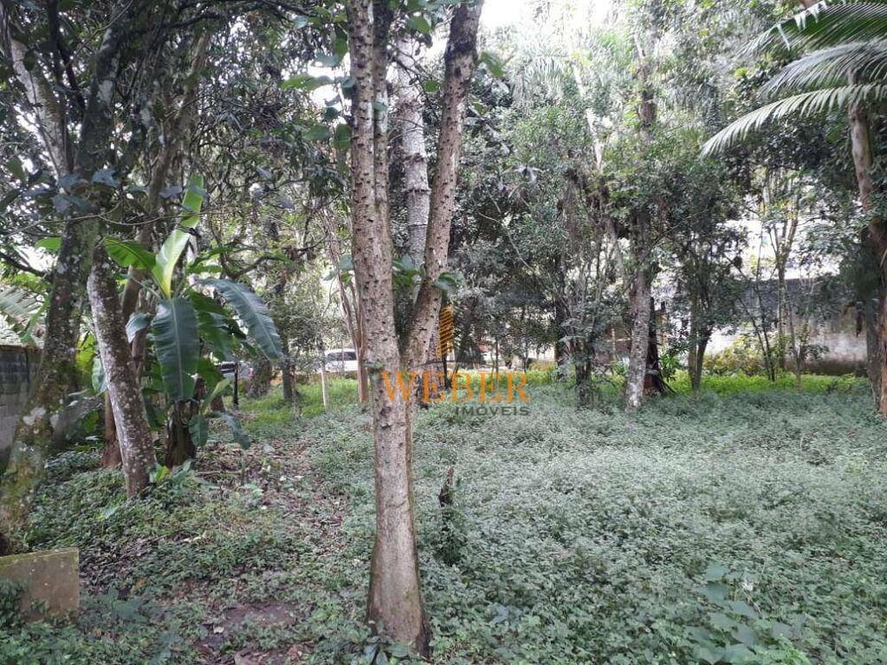 Chácara, 2 quartos, 1000 m² - Foto 7