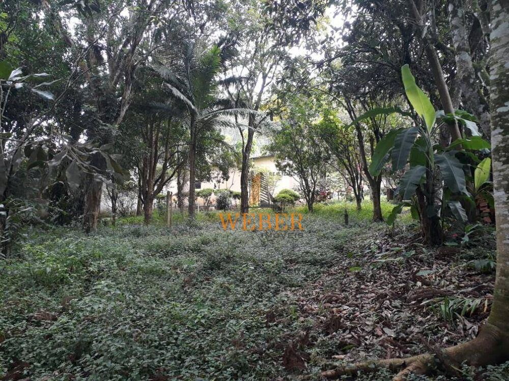 Chácara, 2 quartos, 1000 m² - Foto 11