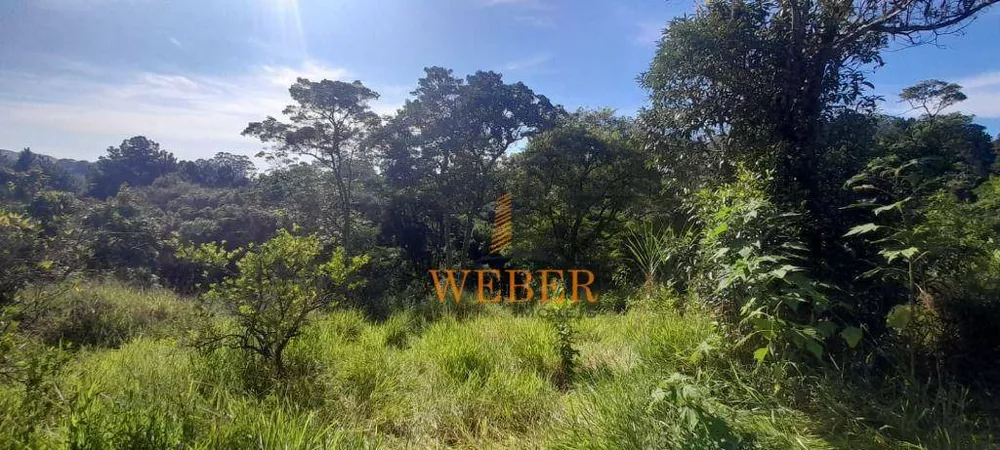 Terreno, 2 hectares - Foto 13