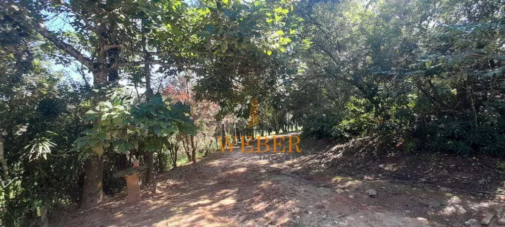 Terreno, 2 hectares - Foto 10