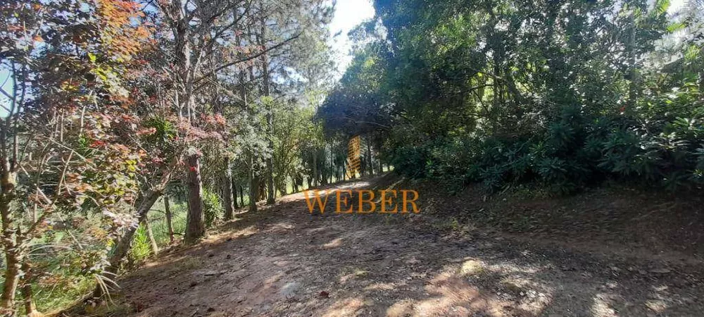 Terreno, 2 hectares - Foto 11