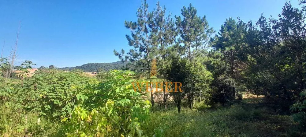 Terreno, 2 hectares - Foto 6