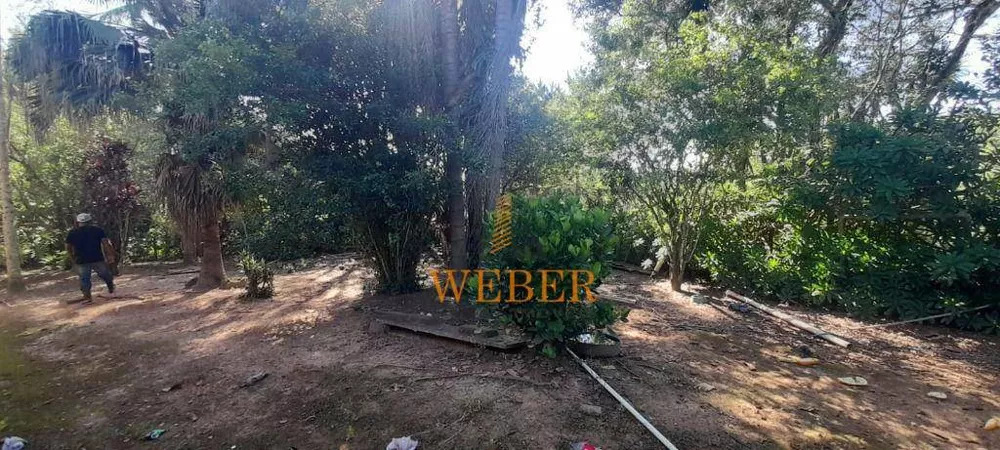 Terreno, 2 hectares - Foto 19