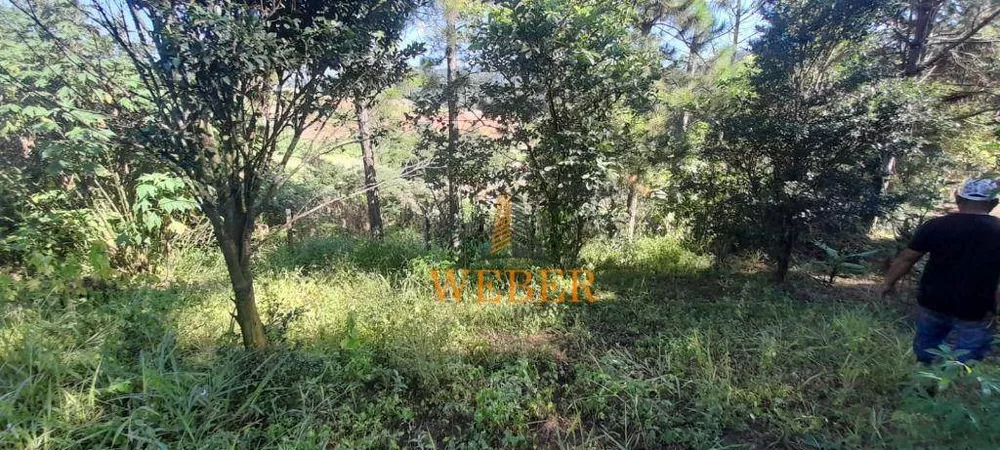Terreno, 2 hectares - Foto 17