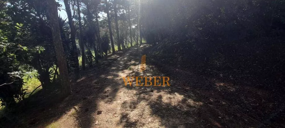 Terreno, 2 hectares - Foto 16