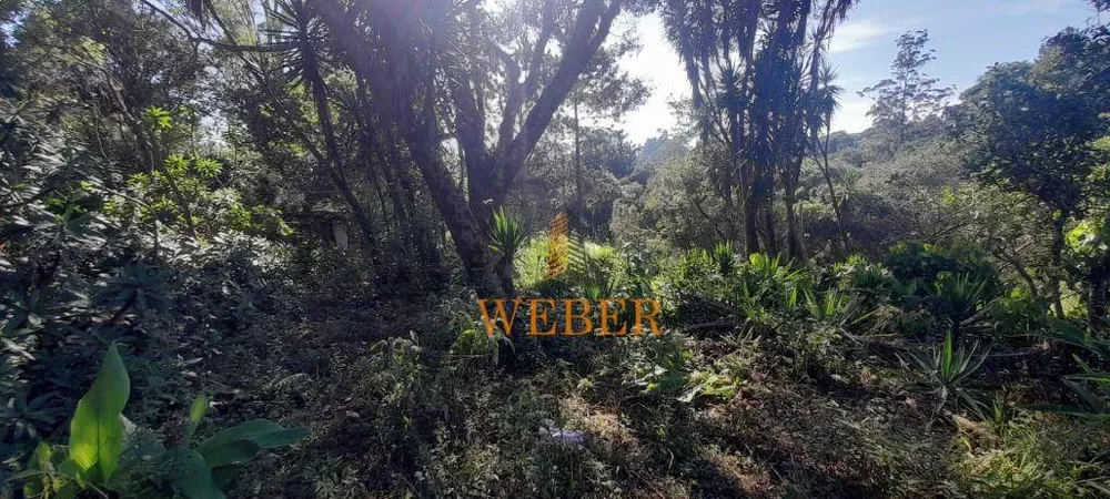 Terreno, 2 hectares - Foto 5