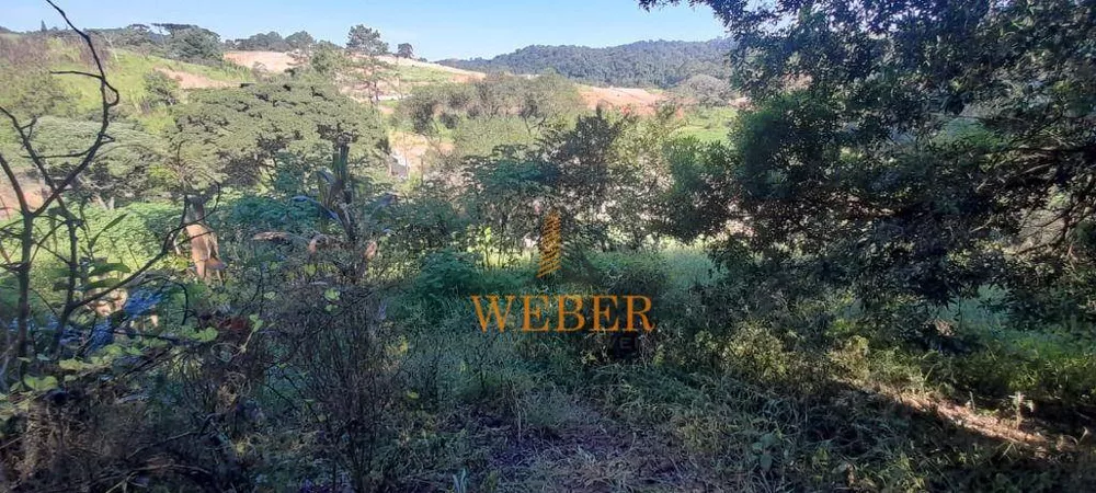 Terreno, 2 hectares - Foto 12