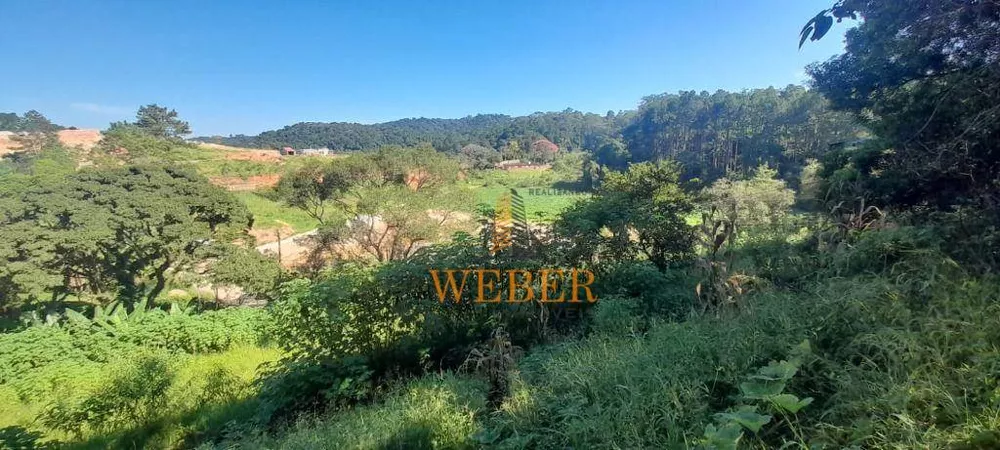 Terreno, 2 hectares - Foto 2