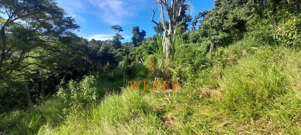 Terreno, 2 hectares - Foto 20