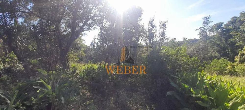 Terreno, 2 hectares - Foto 18