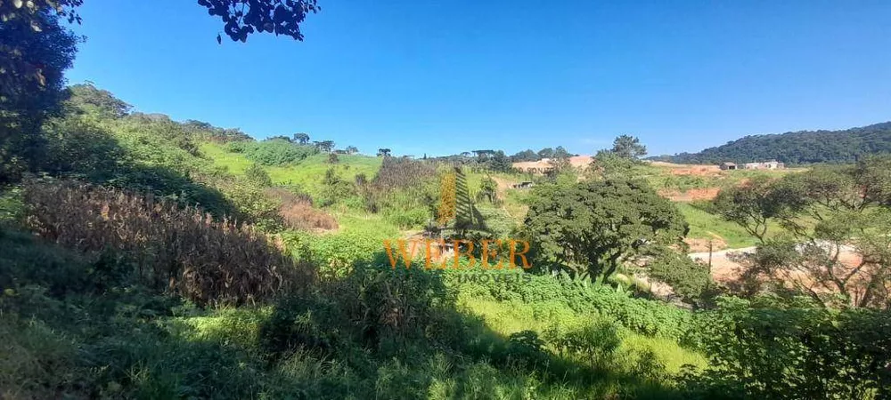 Terreno, 2 hectares - Foto 8