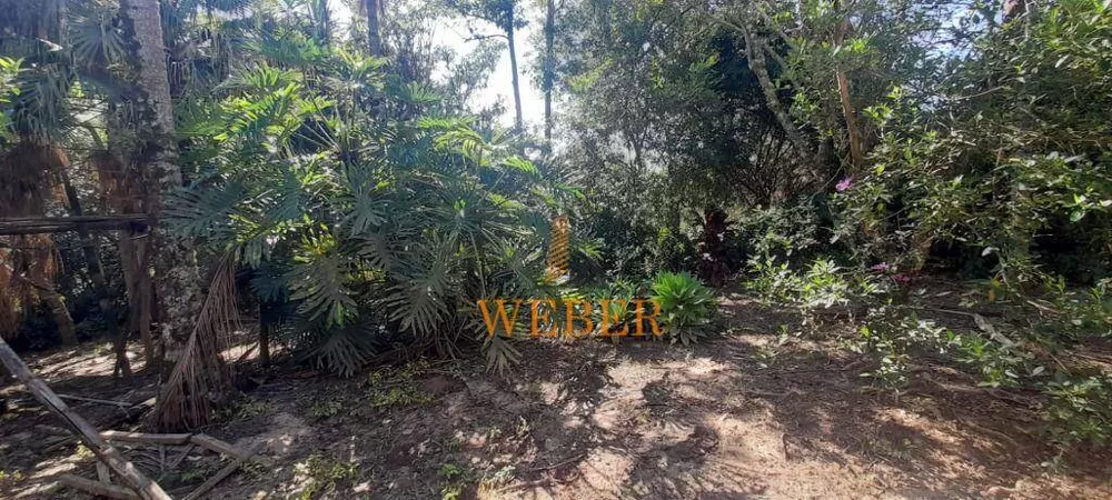 Terreno, 2 hectares - Foto 7