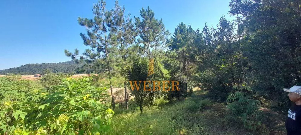 Terreno, 2 hectares - Foto 1