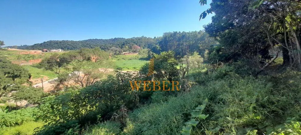 Terreno, 2 hectares - Foto 6