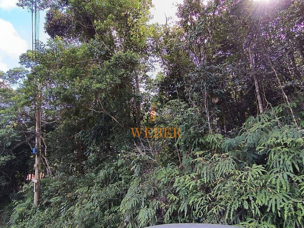 Terreno, 1000 m² - Foto 4