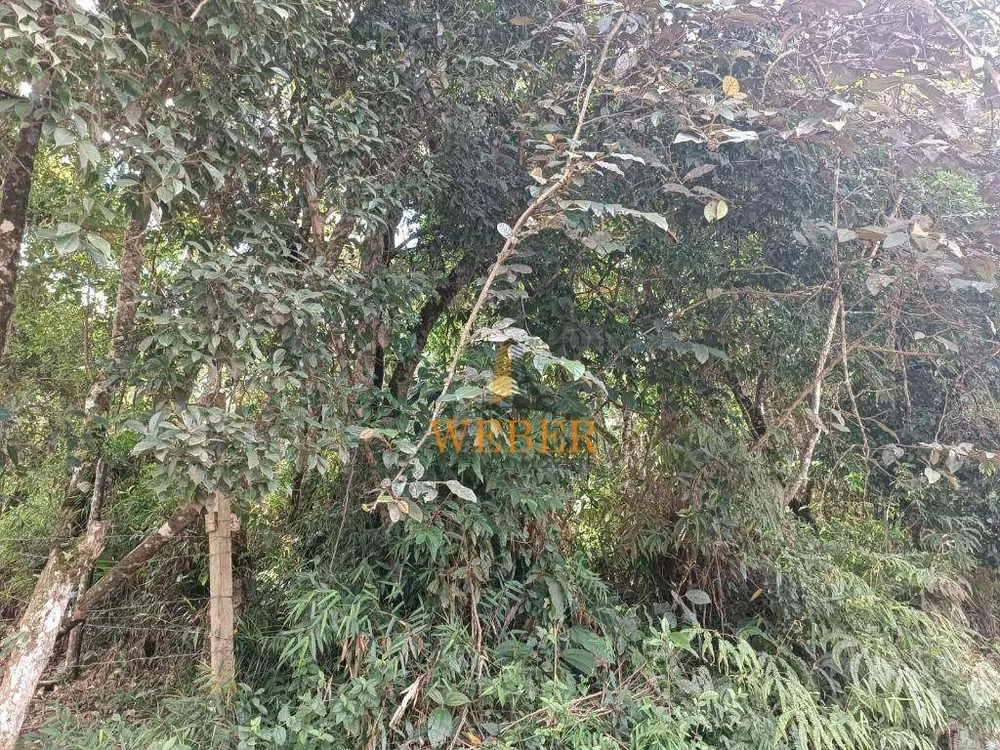 Terreno, 1000 m² - Foto 7