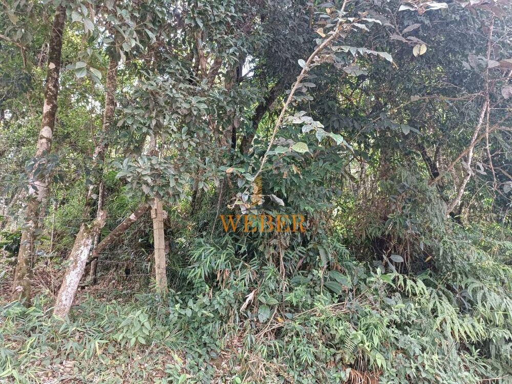 Terreno, 1000 m² - Foto 10