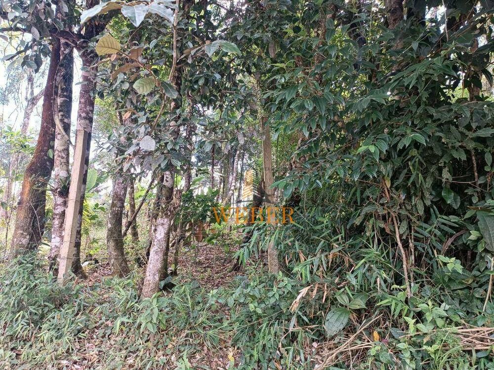 Terreno, 1000 m² - Foto 1