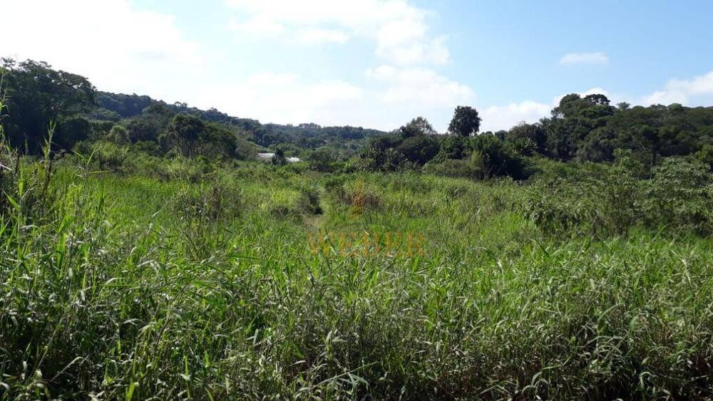 Terreno, 10000 m² - Foto 1