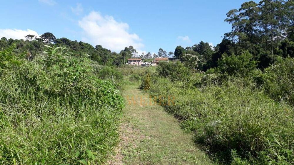 Terreno, 10000 m² - Foto 4