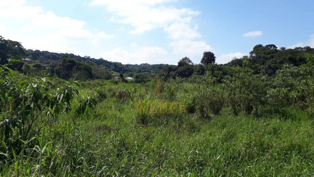 Terreno, 10000 m² - Foto 3