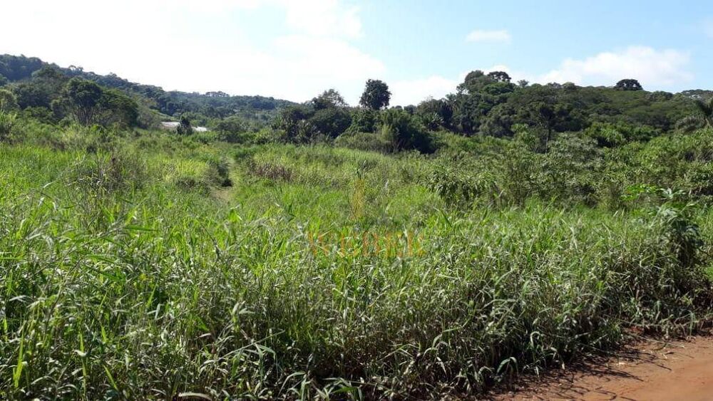 Terreno, 10000 m² - Foto 2