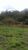 Terreno, 1 hectares - Foto 3