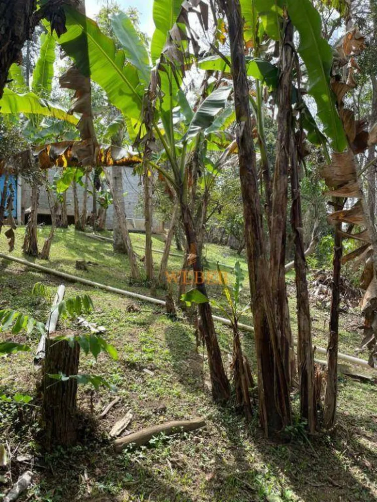 Chácara, 4 quartos, 1600 m² - Foto 10
