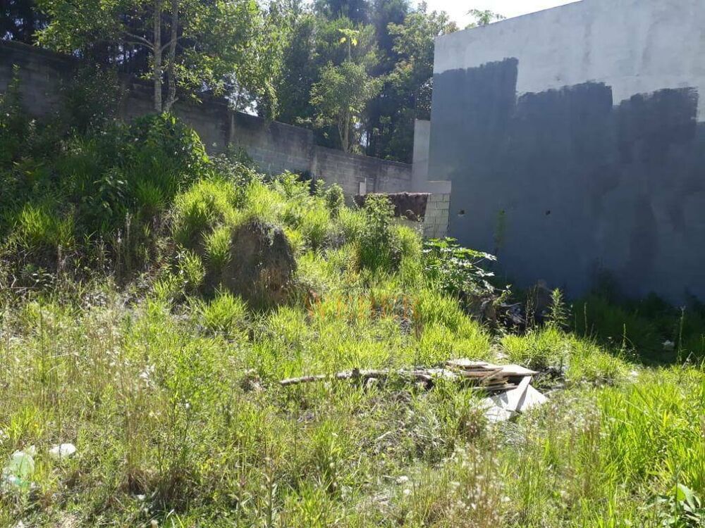 Terreno, 250 m² - Foto 6