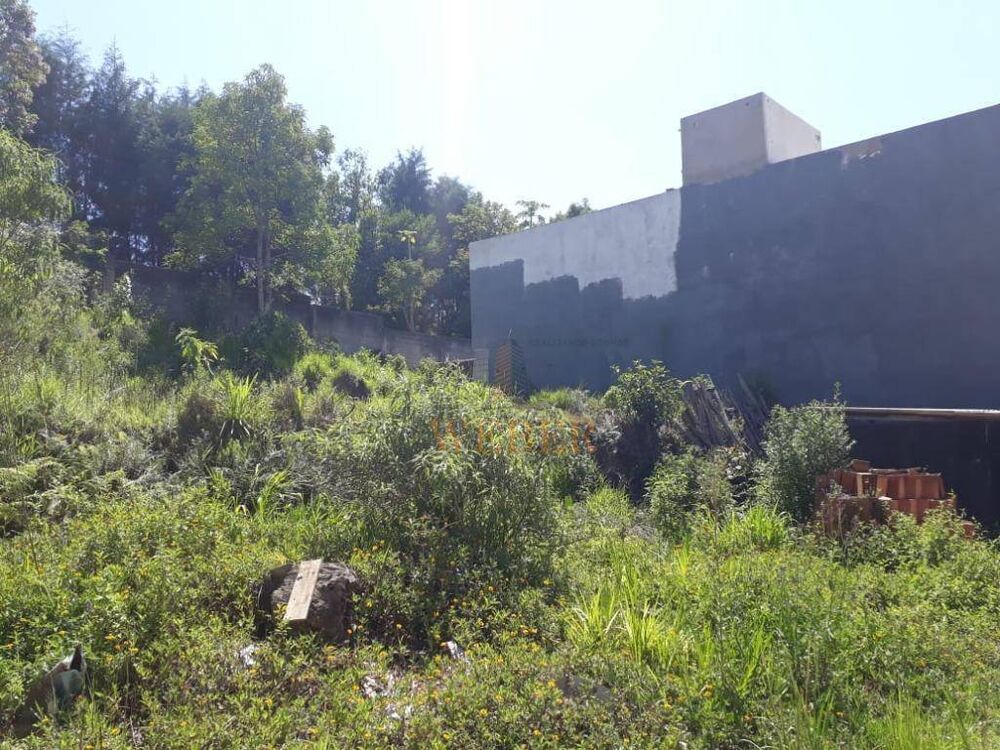 Terreno, 250 m² - Foto 5