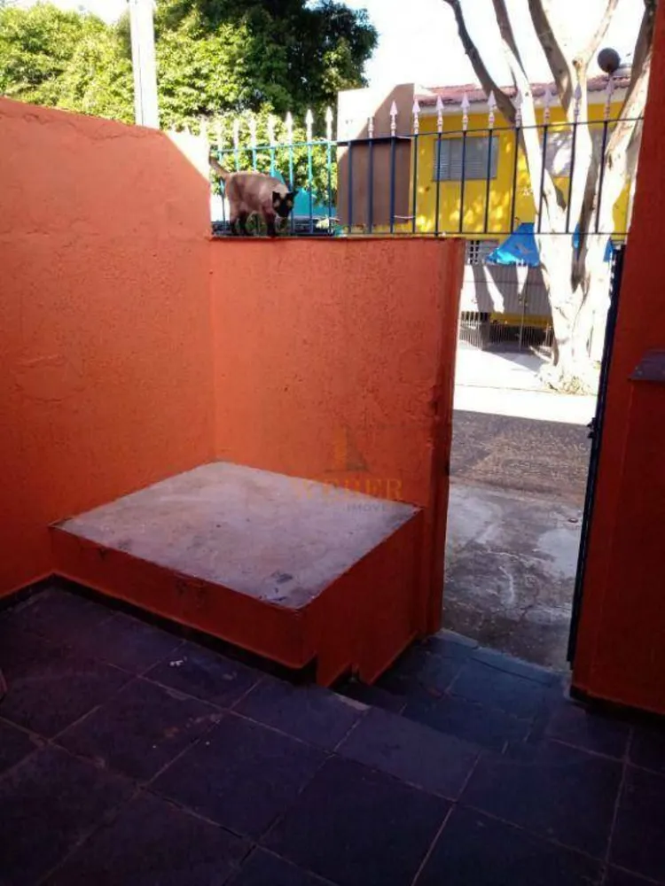 Casa, 6 quartos, 350 m² - Foto 4