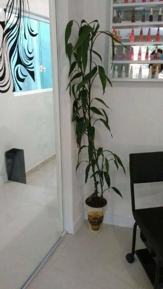 Prédio Inteiro, 650 m² - Foto 6