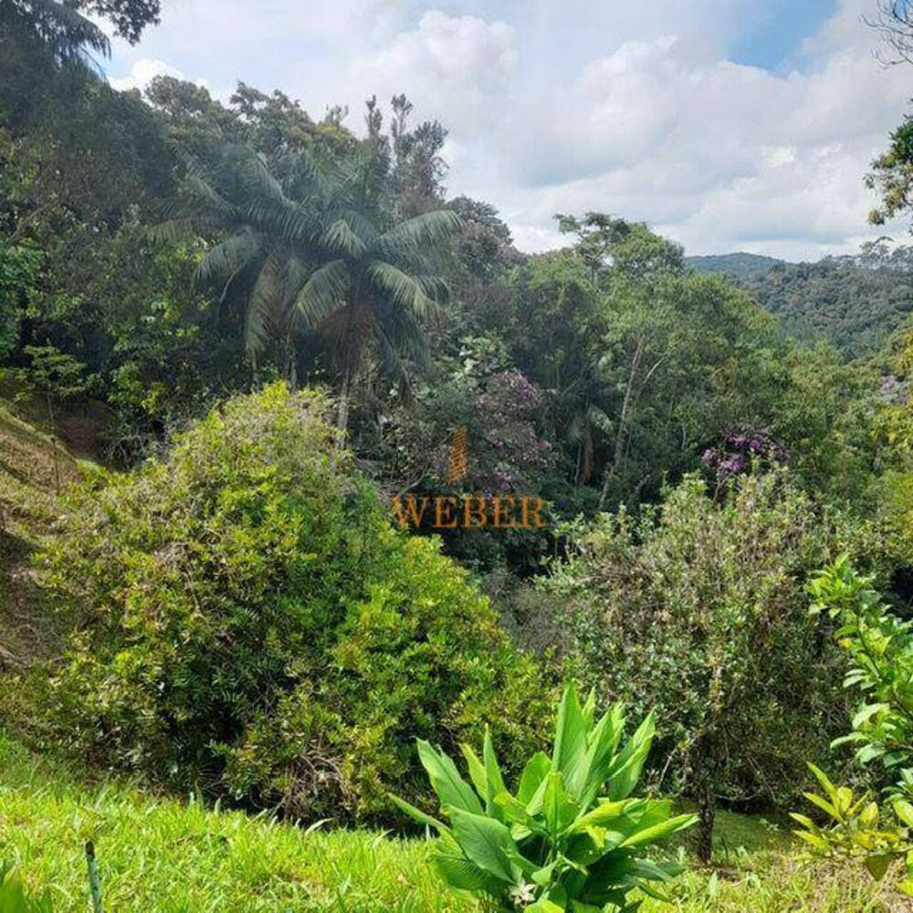 Chácara, 2 quartos, 8362 m² - Foto 3