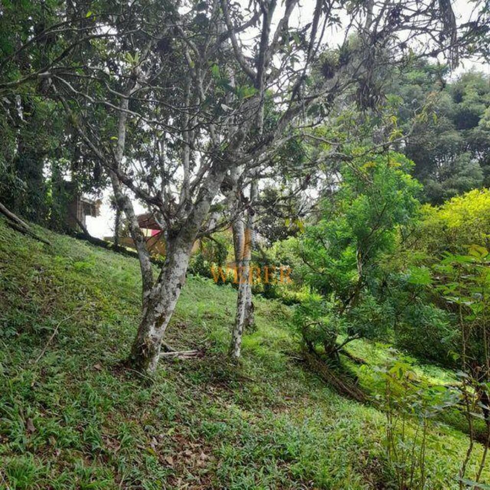 Chácara, 2 quartos, 8362 m² - Foto 4