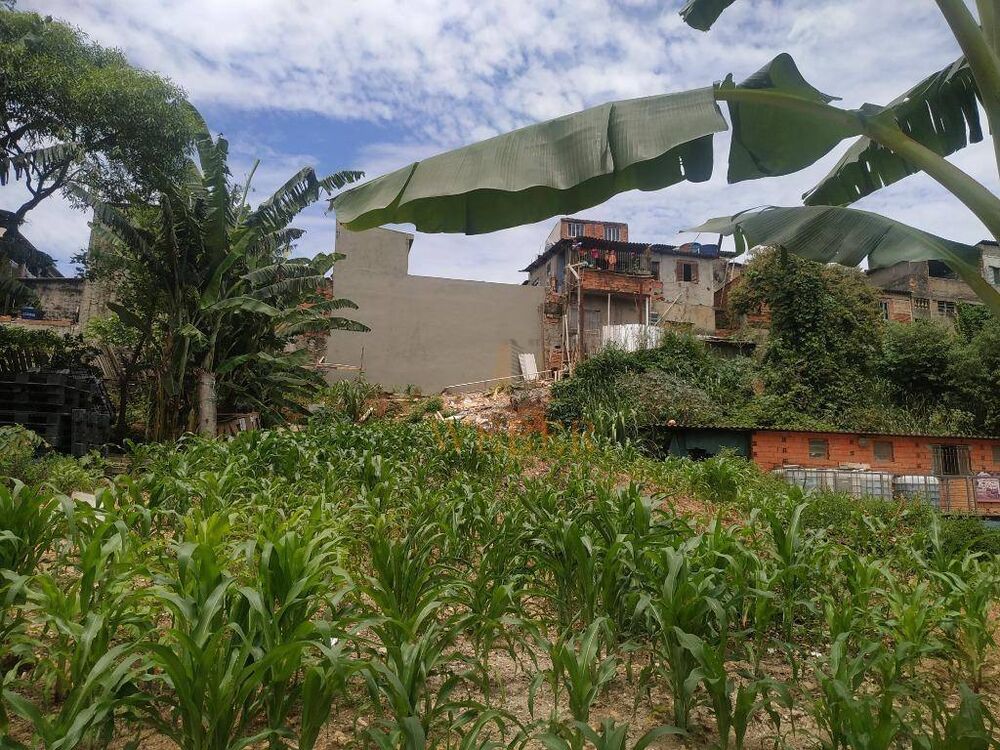 Terreno, 900 m² - Foto 4