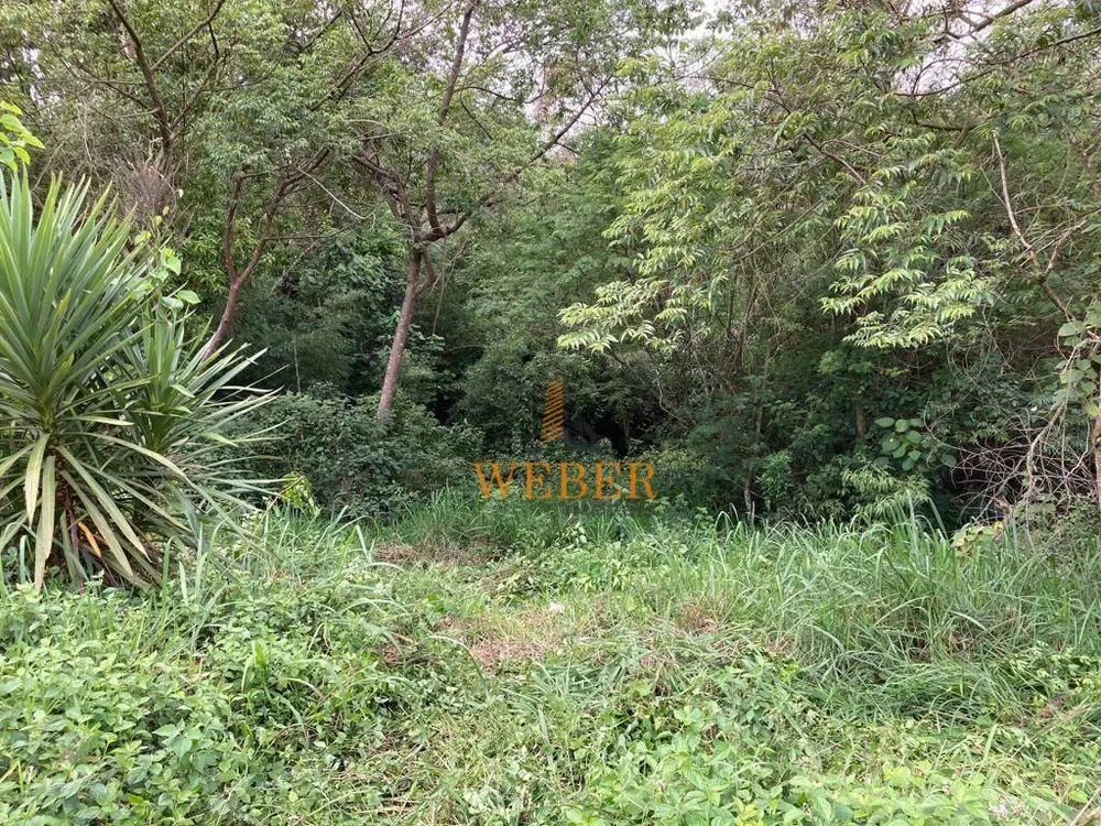Terreno, 1090 m² - Foto 5