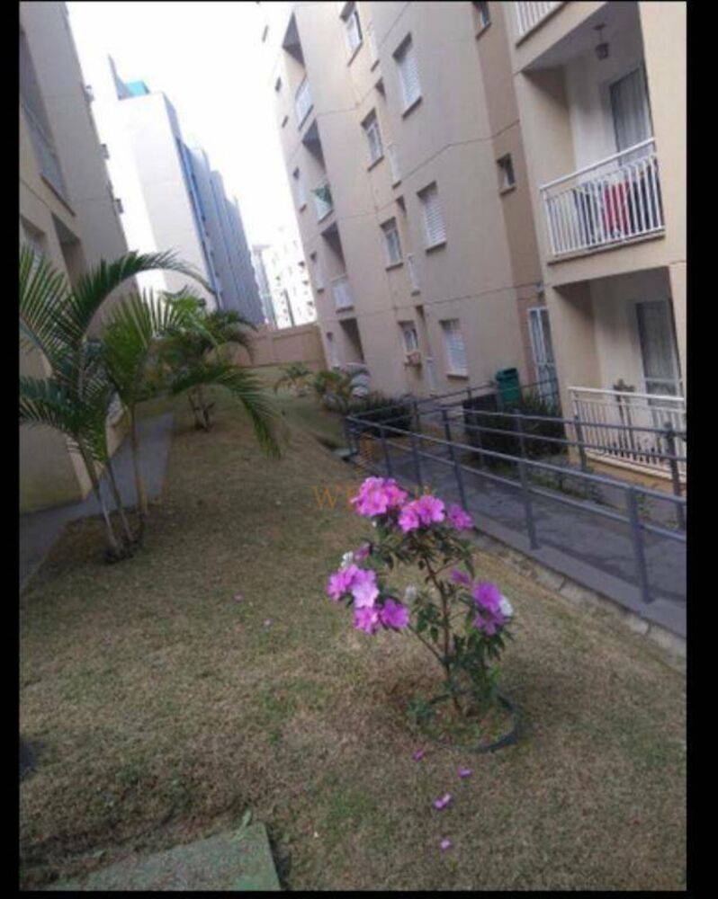 Apartamento, 3 quartos, 53 m² - Foto 6