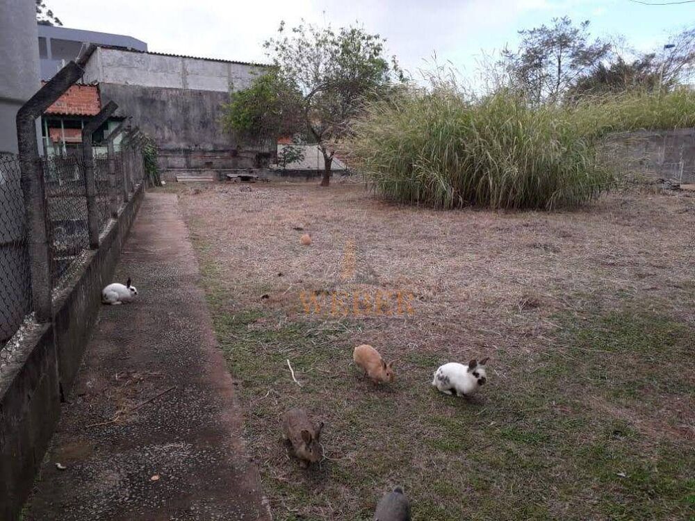 Terreno, 2333 m² - Foto 6