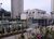 Apartamento, 2 quartos, 52 m² - Foto 8