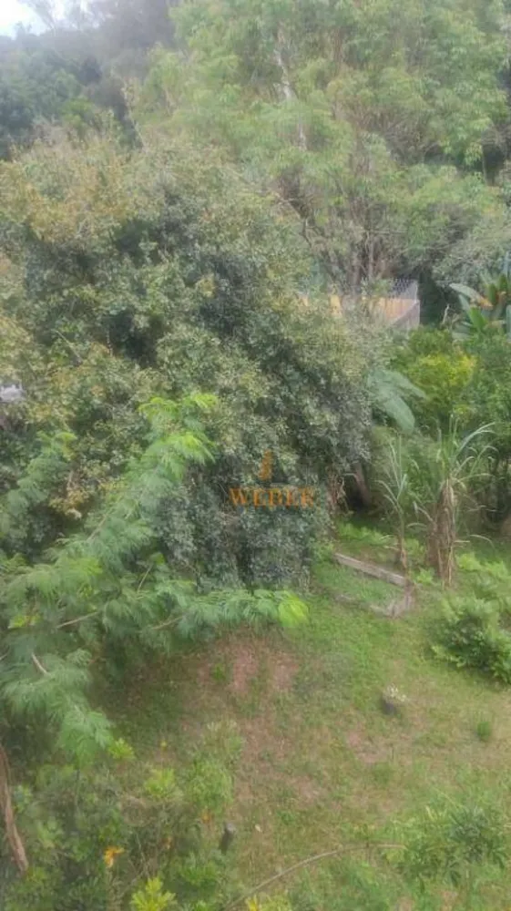 Casa, 3 quartos, 440 m² - Foto 10