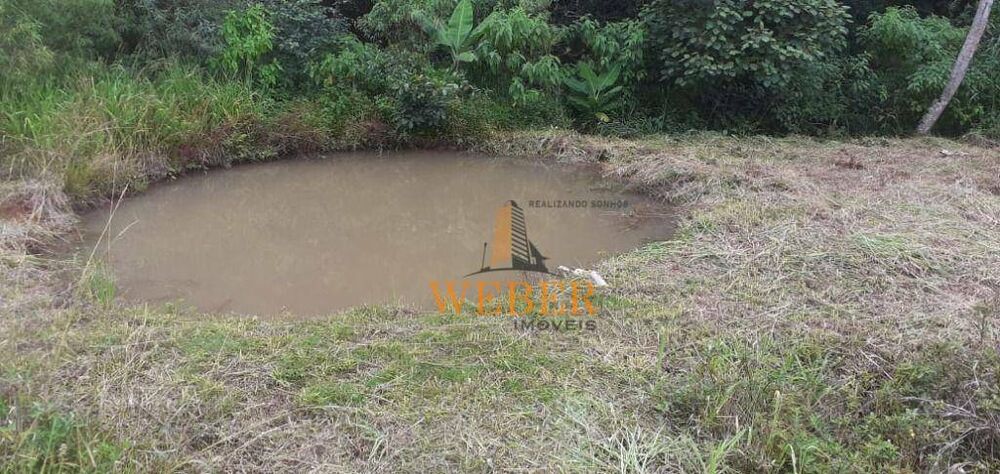 Chácara, 3 quartos, 3300 m² - Foto 4