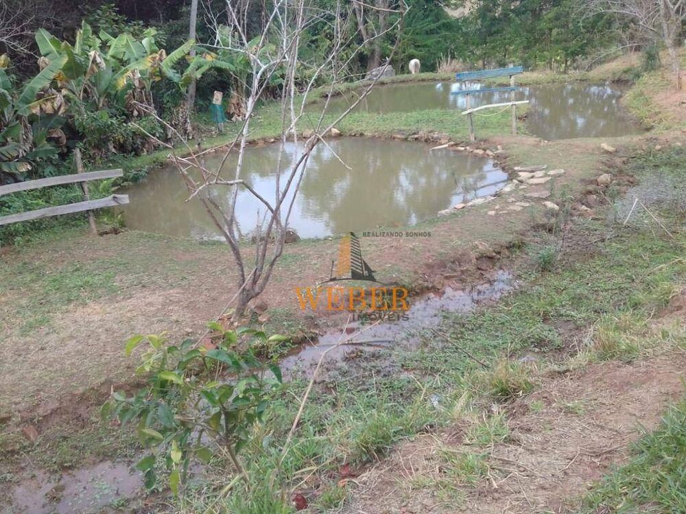 Chácara, 3 quartos, 3300 m² - Foto 2