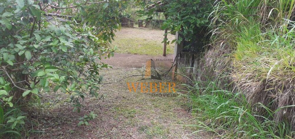 Chácara, 3 quartos, 3300 m² - Foto 3