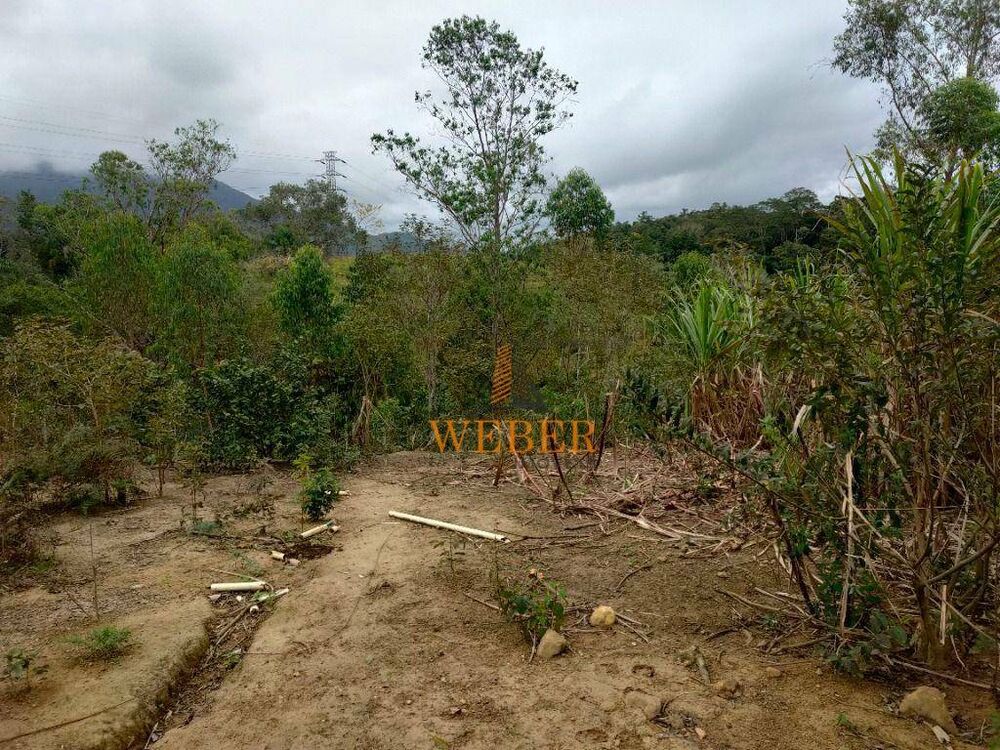 Terreno, 2300 m² - Foto 6