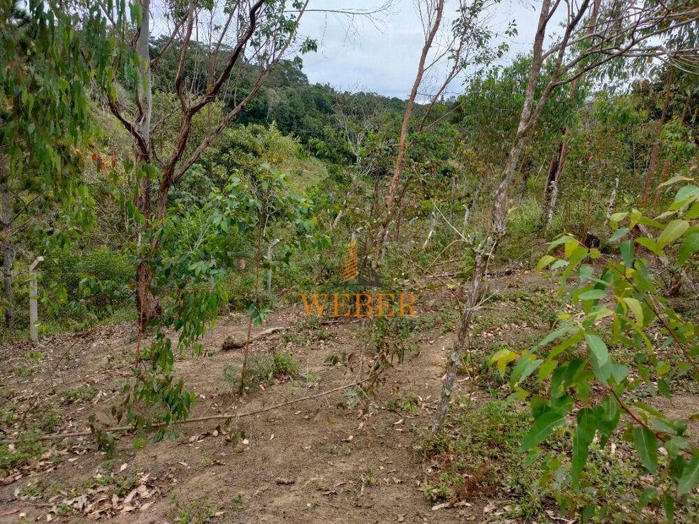 Terreno, 2300 m² - Foto 2