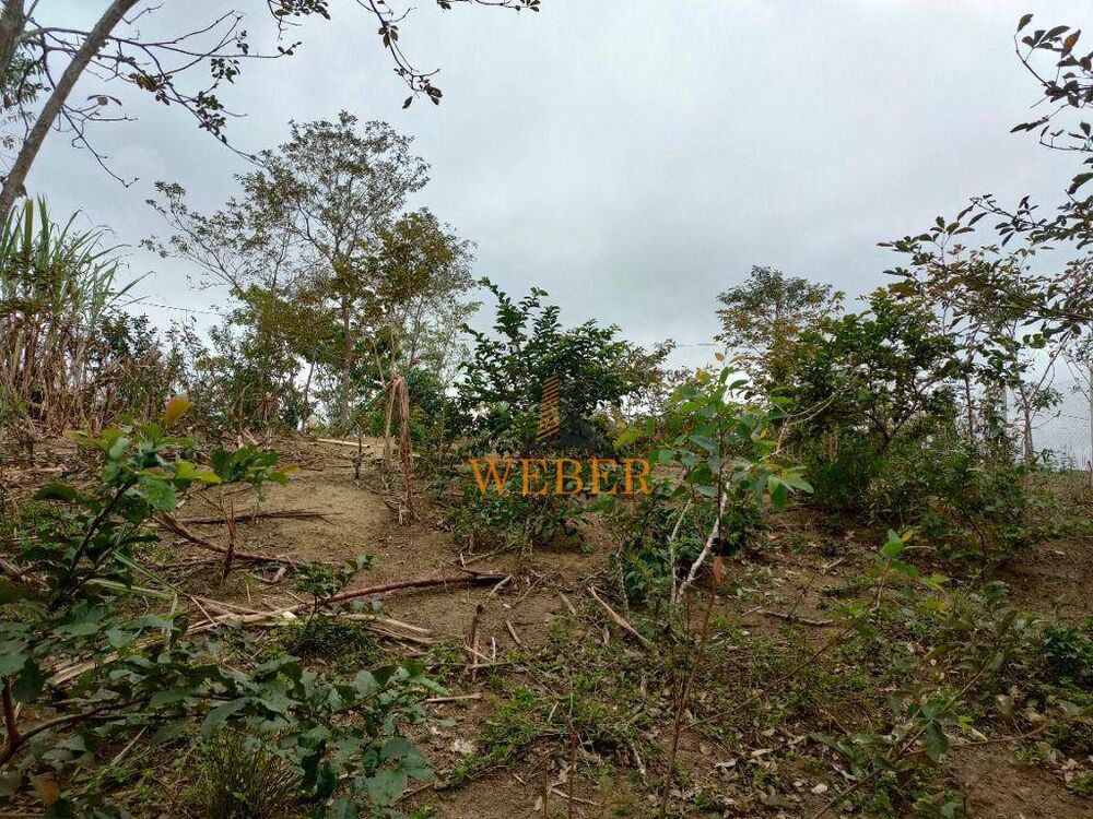 Terreno, 2300 m² - Foto 4